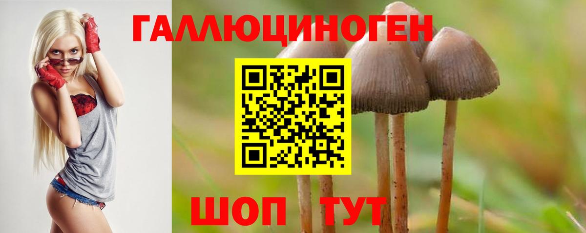 Псилоцибиновые грибы Cubensis  Псилоцибиновые грибы прущие грибы  Железноводск  Вход с VPN 